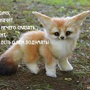 ���� ��������, ������ - ��������� 28 ������ 2021 � ������ ���� ����������