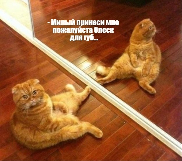       - 21  2021  14:03