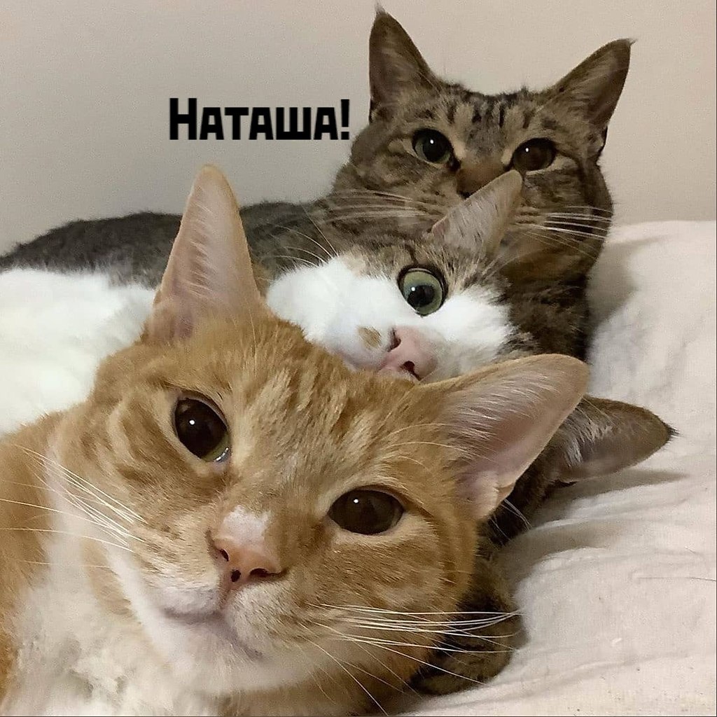       - 5  2020  18:55 - 2