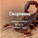 ���� �������, ������, 54 ���� - ��������� 19 ������ 2021 � ������ ������ ��������