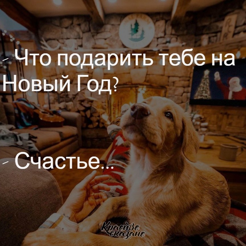   . . . - 24  2020  20:09