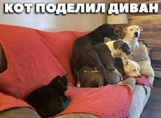 ***Victoria Viktorovna*** - 21 ����� 2021 � 03:08