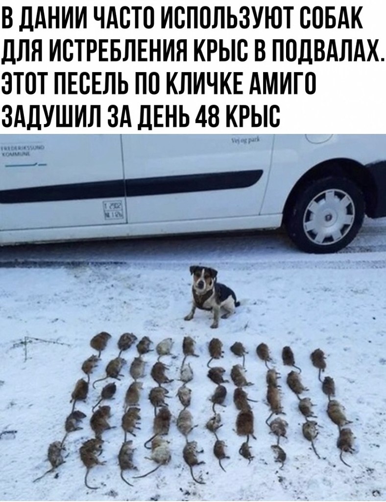     . .