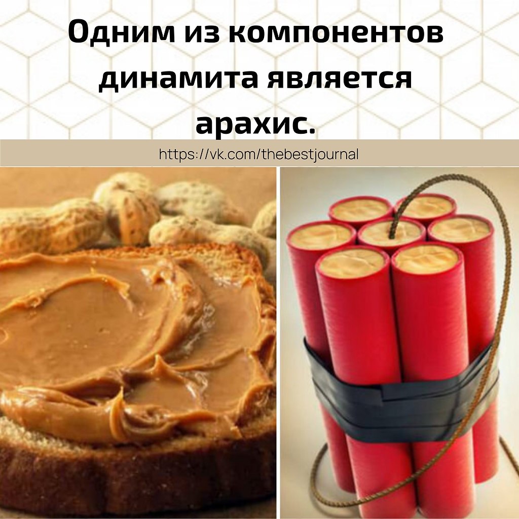 BEST | , ,  - 24  2021  11:38