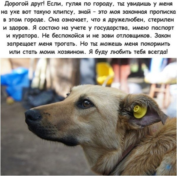 :   !