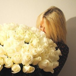  , -, 56  -  14  2020