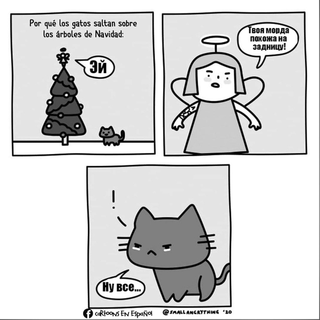      :