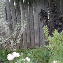  ,  -  23  2020    