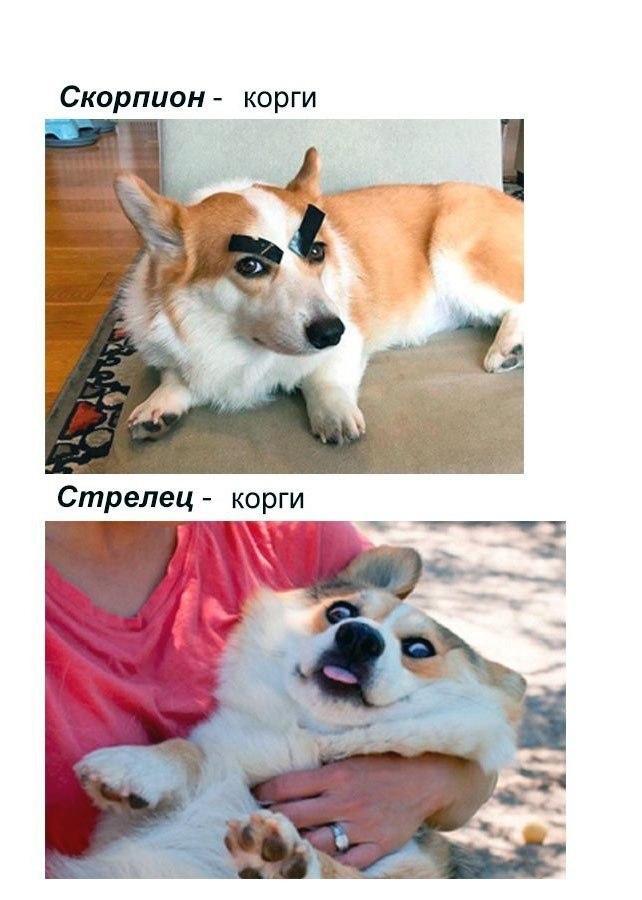  ,   ,   - 4