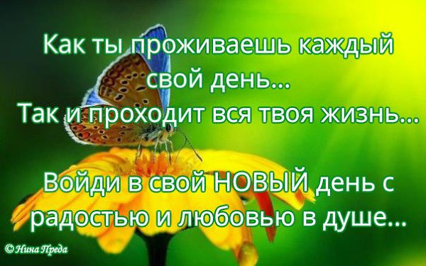 ����������� � ���������, �������� �� ������ ����. - 19 �������� 2020 � 23:52 - 2