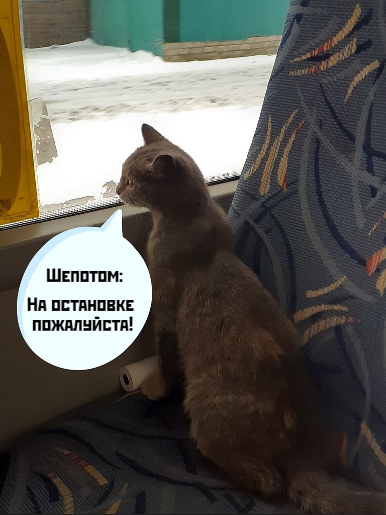         )))    )