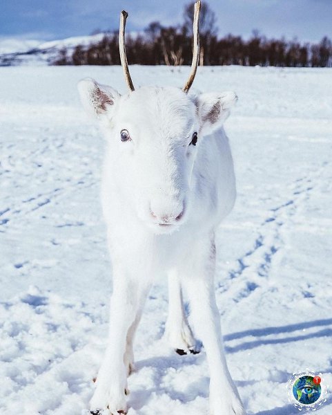 ae e oe a oe cea, ope. ope oa a a oee: ceep  ... - 3