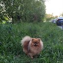 ���� �����, �����-���������, 57 ��� - ��������� 12 �������� 2020 � ������ ���� ����������