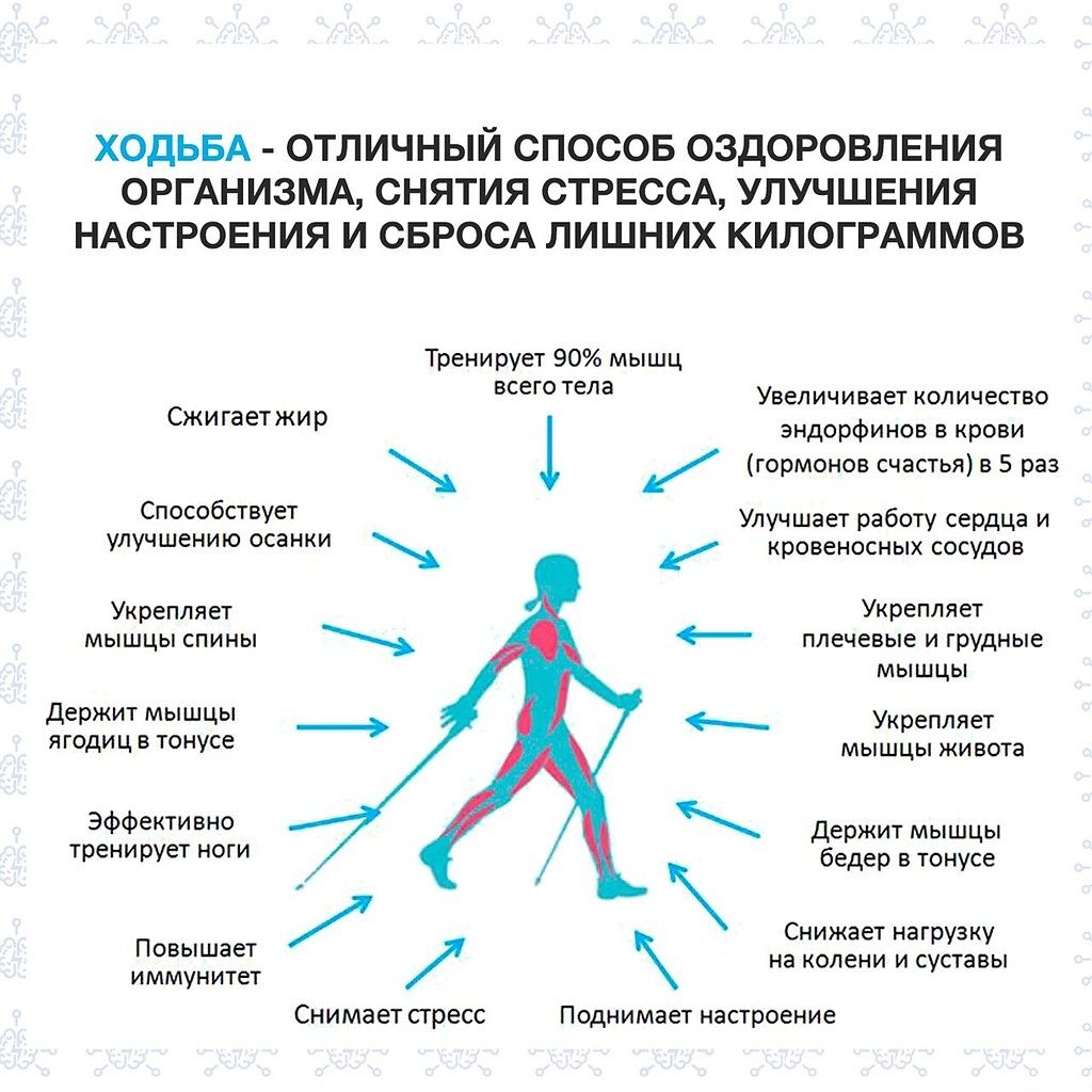 Прогулки на свежем воздухе должны проводиться регулярно, желательно ежедневно, в нежаркое время ...