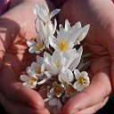 ���� ��������, �����-���������, 60 ��� - ��������� 25 ����� 2021 � ������ ������ ��������