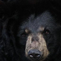 ���� �����, ������������, 50 ��� - ��������� 16 ������� 2020