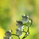 ���� ������, ������������ - ��������� 24 �������� 2020 � ������ ��������