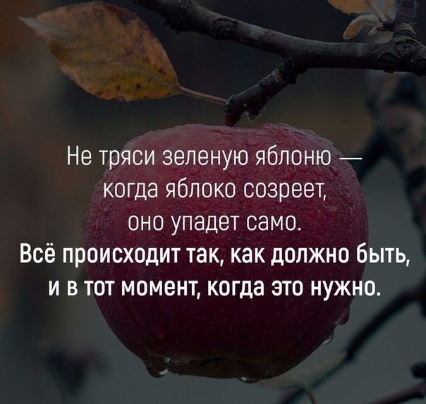    - 5  2020  00:52