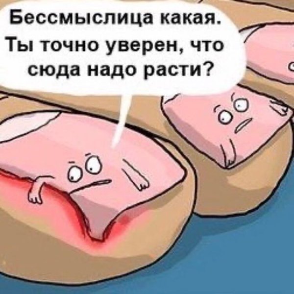 Забытая тетрадь