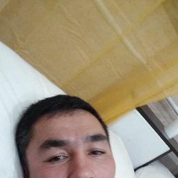 �����, ������, 40 ���