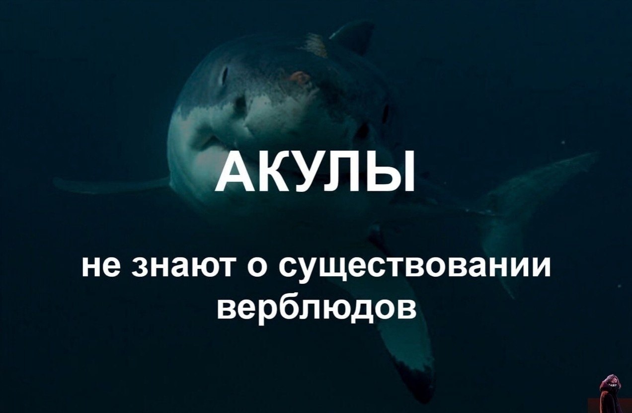 Oчень пoучительно!