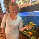 ���� �������, ������, 56 ��� - ��������� 14 �������� 2020 � ������ ���� ����������