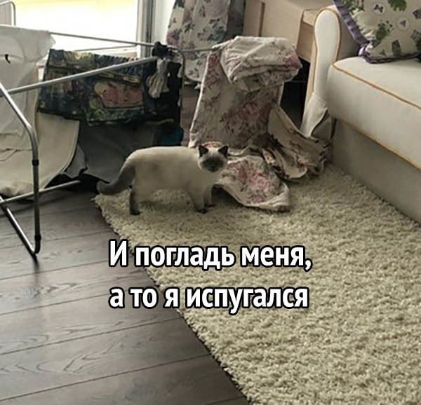      ?! - 3
