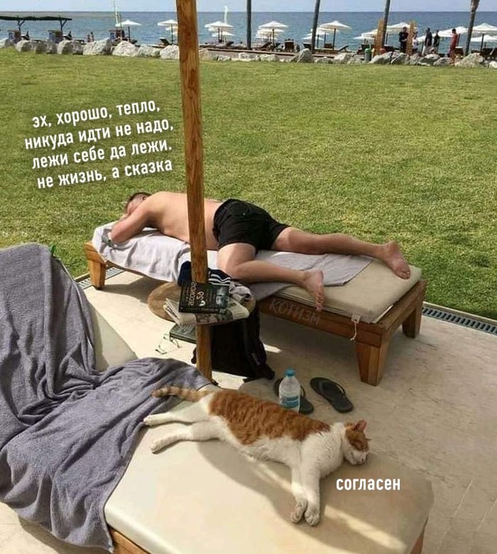    ,             