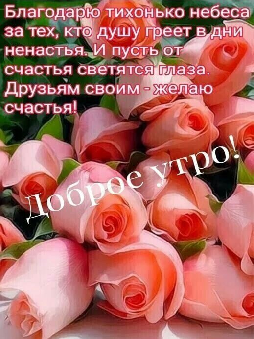   ,    . - 7  2021  23:07