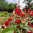 ���� ������, ������, 66 ��� - ��������� 23 ������ 2020 � ������ ���� ����������
