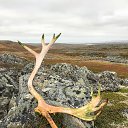 ���� ��������, �������� - ��������� 5 ������ 2021 � ������ ������������ �� ���������.�