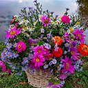 ���� �������, �����-���������, 47 ��� - ��������� 18 �������� 2020 � ������ ���� ����������