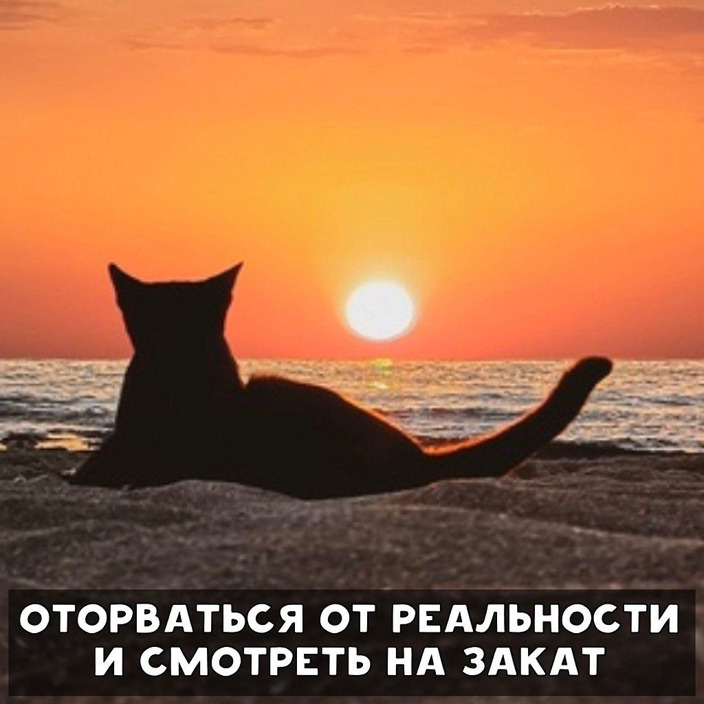     - 6