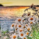 ���� ����, ���������� - ��������� 4 ������� 2021 � ������ ���� ����������