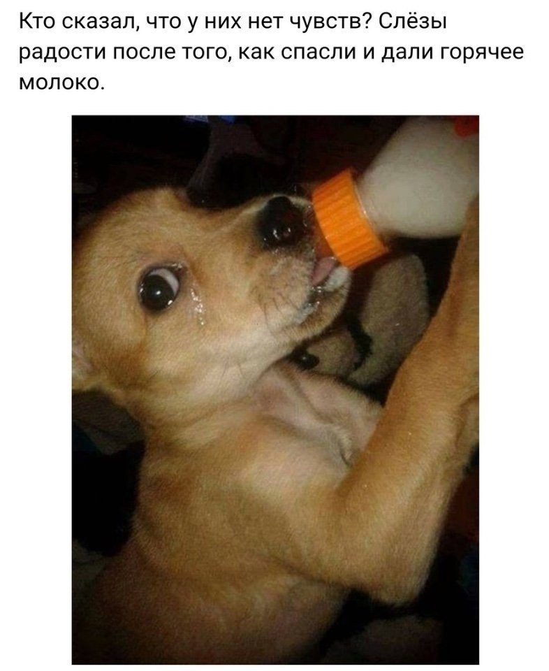 ,  !!!!