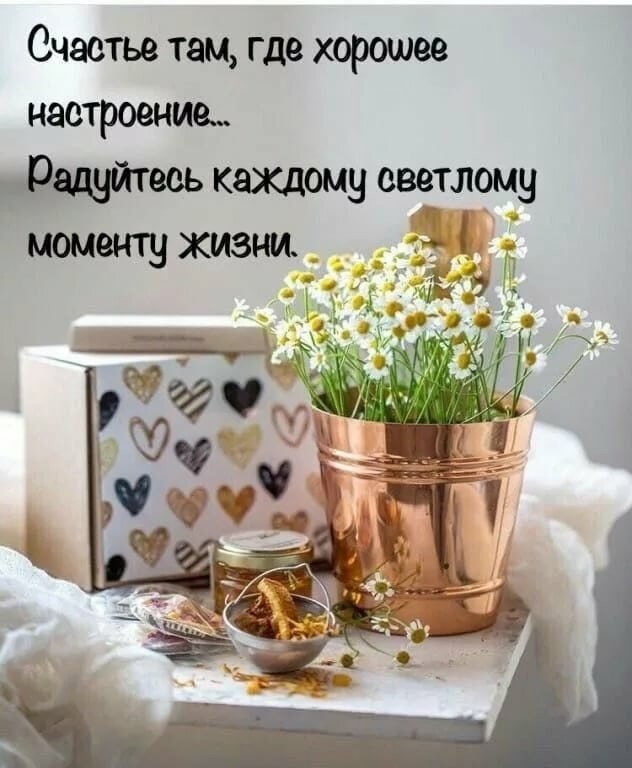   ,    . - 26  2022  13:22