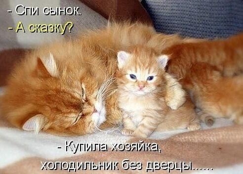 ��� �������� �������� - 25 ���� 2021 � 02:29