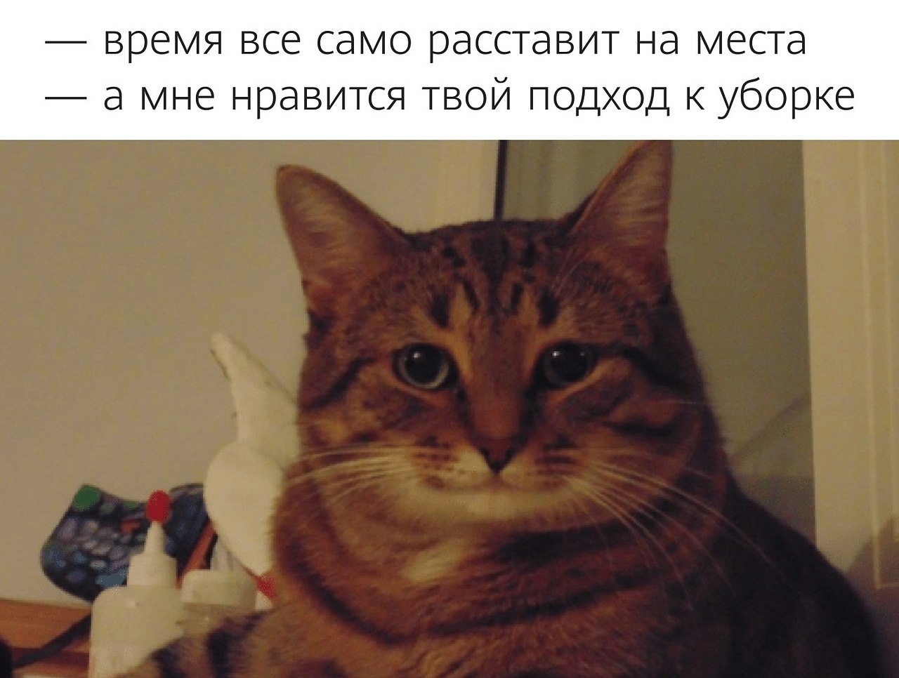  ,    .