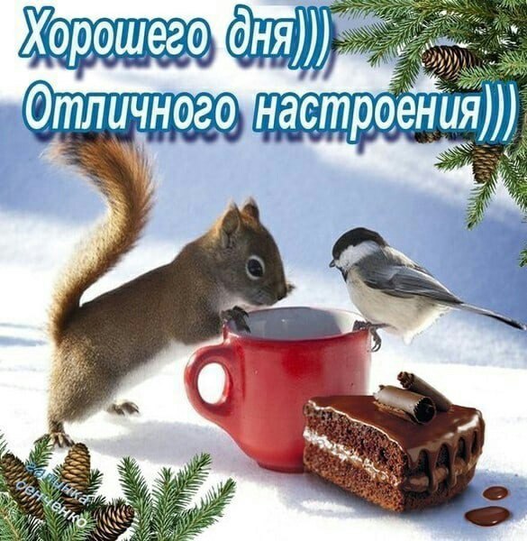   ,    . - 26  2022  13:22 - 2