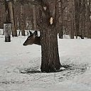  .,  -  9  2021    