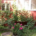 ���������!... )))
4-� �����... ����� ���� 2021�. �� ������� ����������� )))�