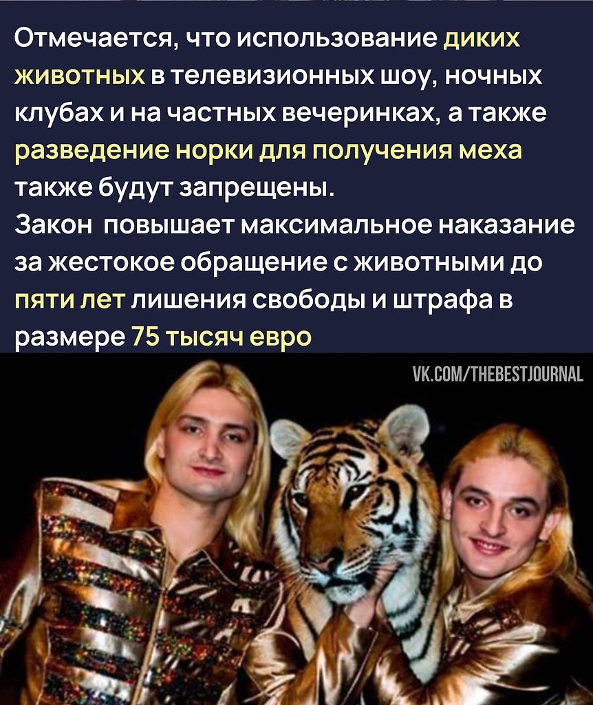 BEST | , ,  - 20  2021  14:53 - 3