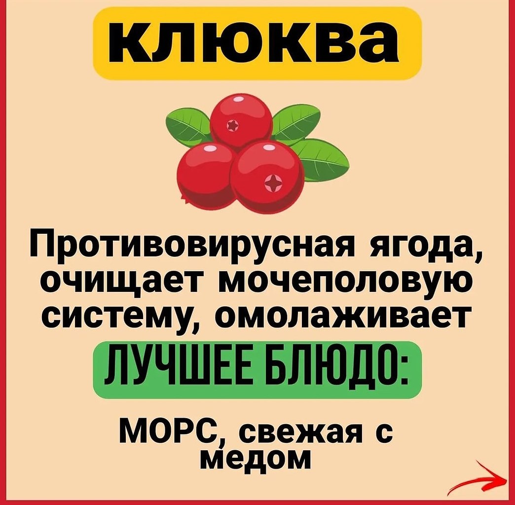    - 2  2021  18:49