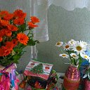 ���� ������, �����������, 53 ���� - ��������� 20 ���� 2021 � ������ ������ ��������