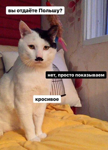 ������� ������