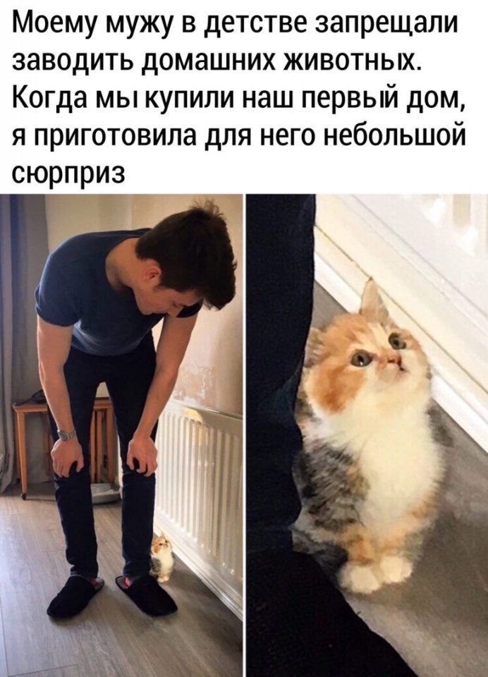   .    .   .