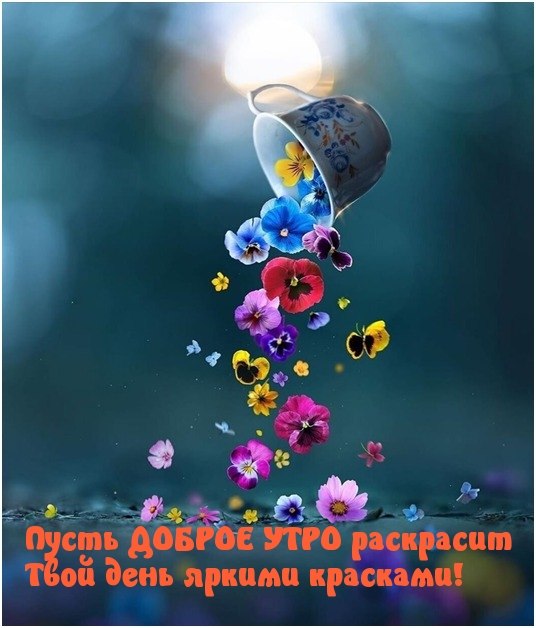   ! - 5  2021  07:22