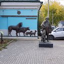  , , 52  -  19  2021    