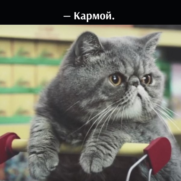 ��� ���� � ����� �� �� - 14 ���� 2021 � 19:06 - 2