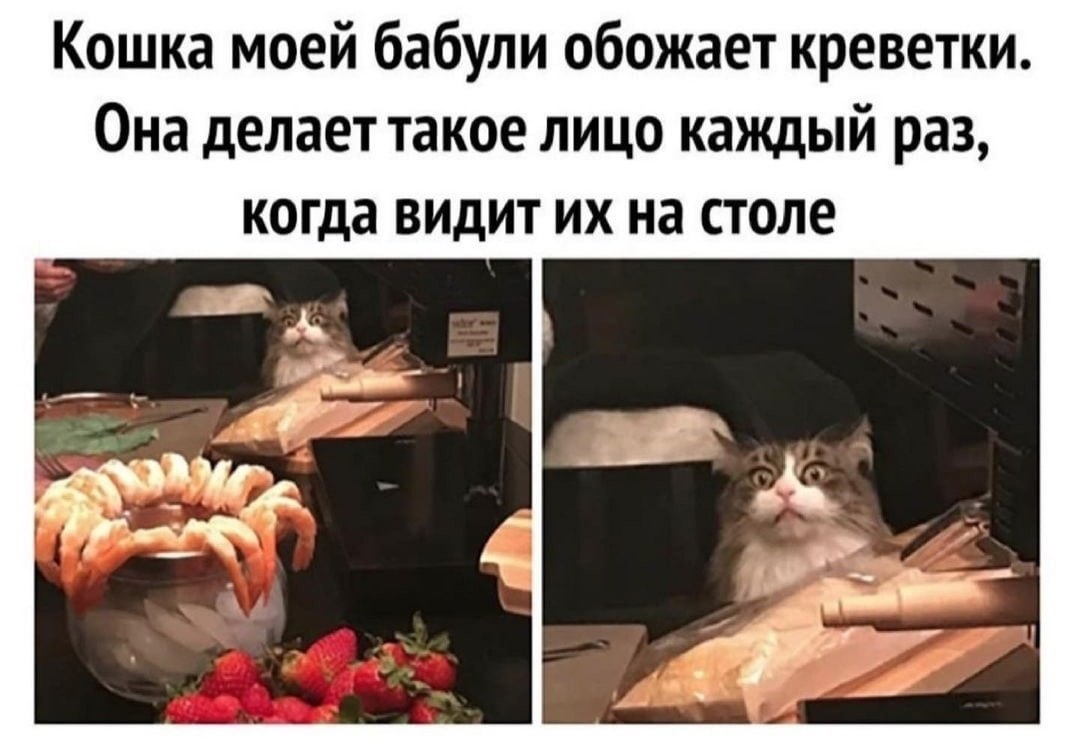   :     .